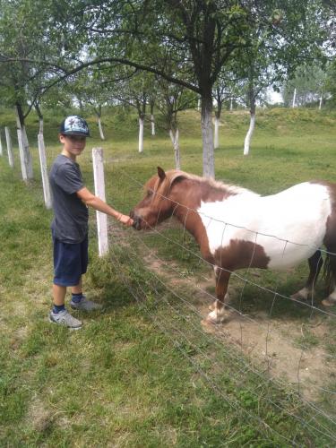Excursie Zooland 2022, cls a III-a