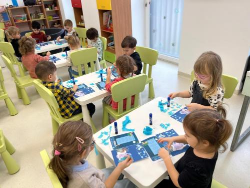 Tricolorul-grupa mică B